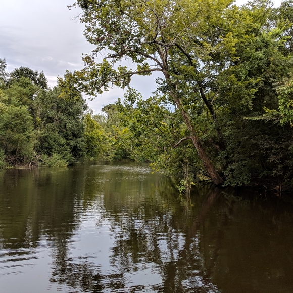 Meet your Posher, Nikta - Picture 2 of 2